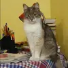 Отзыв от Динара Демина